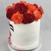 Freda Kahlo Cake (D, 4L)